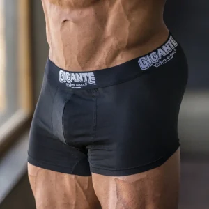 Boxer Gigante