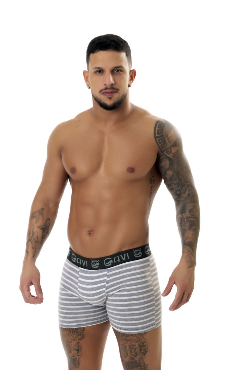 Cueca Boxer Hamilton