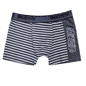 Cueca Boxer Listrada com Estampa Lateral – Paulo